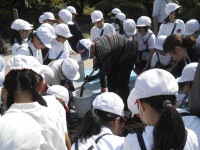 DSCN6932