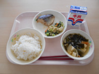 DSCN0379