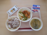 DSCN0395