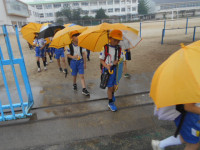 DSCN3531