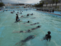 DSCN7548