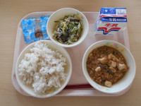 DSCN0406