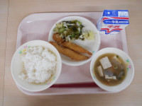DSCN0486